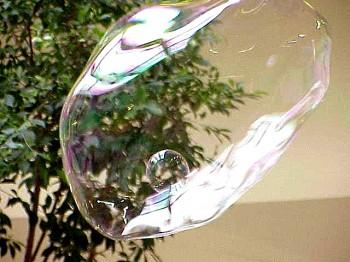 23 350x262 - Bubbleologist