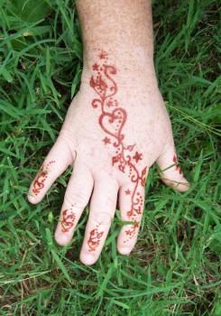3673790 245x350 - Henna Tattoos