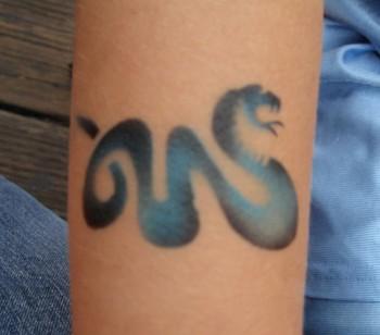 Airbrush Face Painting and Tattoos Catscamera 035 350x308 - Airbrush Face Painting and Tattoos