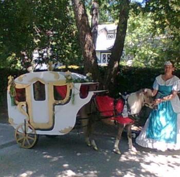 Coach1 e1301352002693 350x345 - Transportation