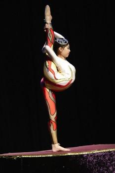 Acrobatic Shows Contortion 233x350 - Acrobatic Shows