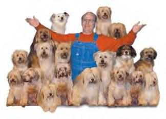 Dog Show photo - Dog Shows