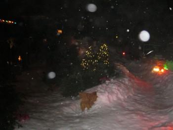 IMG 0049 350x262 - Snow Parties