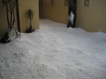 IMG 0089 350x262 - Snow Parties