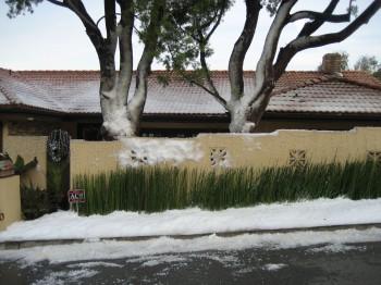 IMG 0108 350x262 - Snow Parties