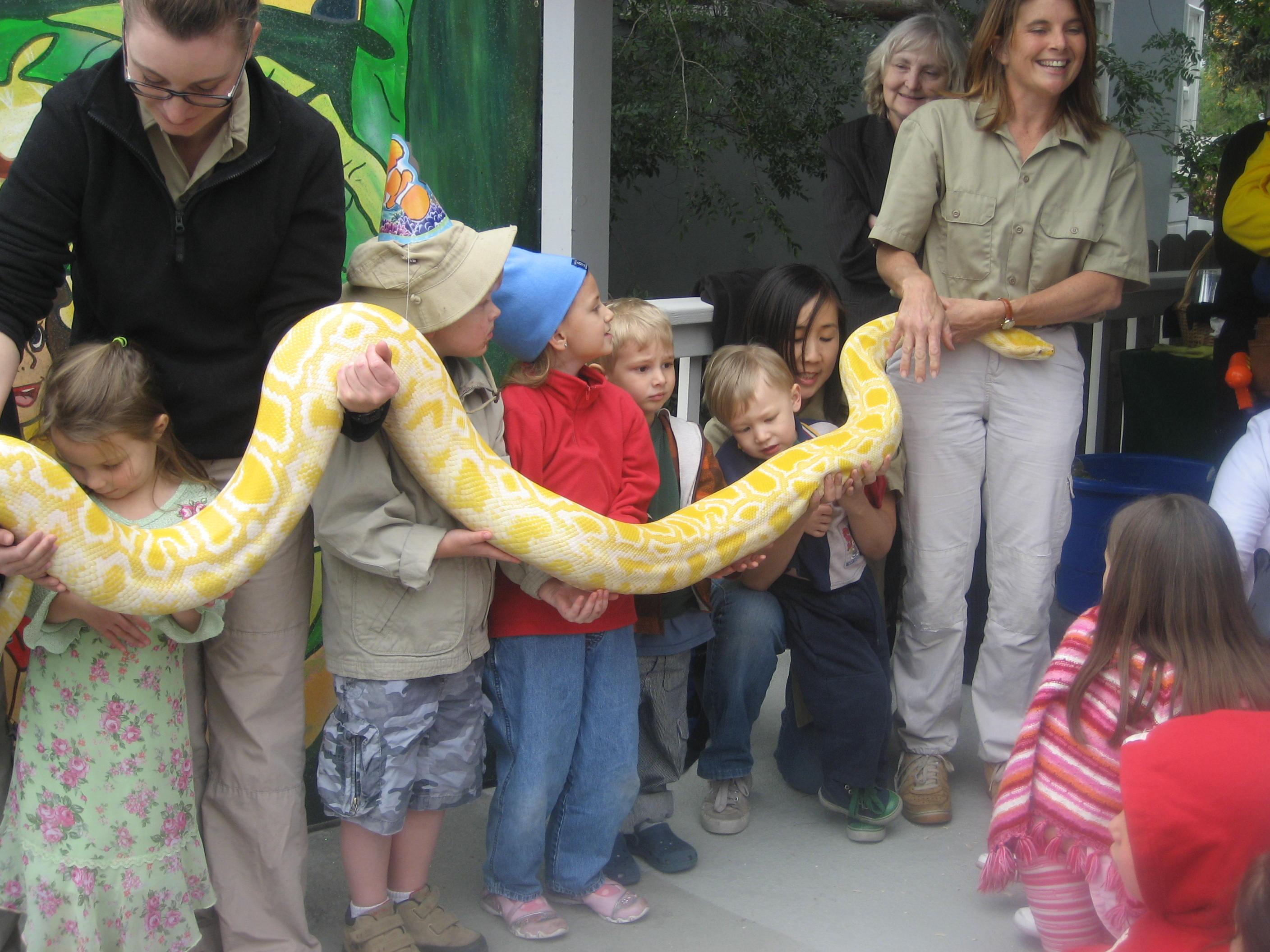 IMG 03334 - Reptile Shows