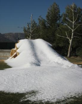 IMG 0919 276x350 - Snow Parties