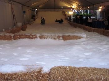 IMG 1420 350x262 - Snow Parties