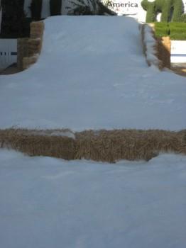 IMG 29961 262x350 - Snow Parties