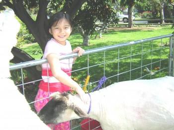Img2004 04 04 019 350x262 - Petting Zoo