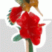 Birthday Party bird11 75x75 - Birthday Party