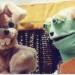 Company Picnic hare and turtle 75x75 - Company Picnic