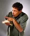 hypno-bird-2-th hypno-bird-2-th