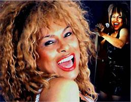 tina turner m sm - Tina Turner